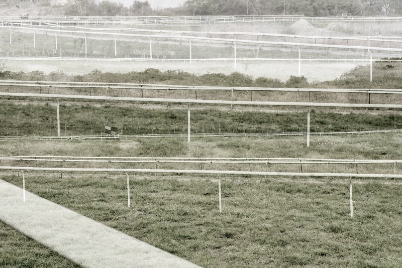 The Race no.1