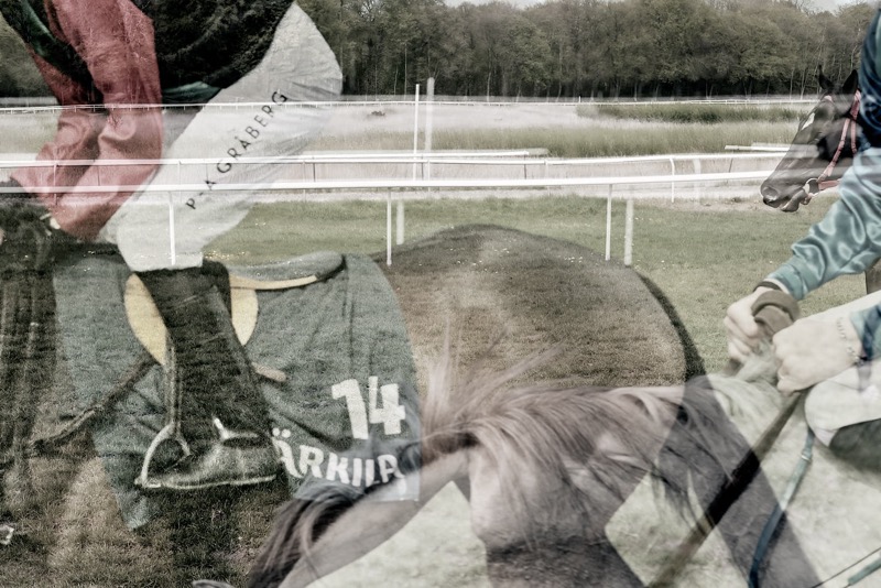 The Race no.3